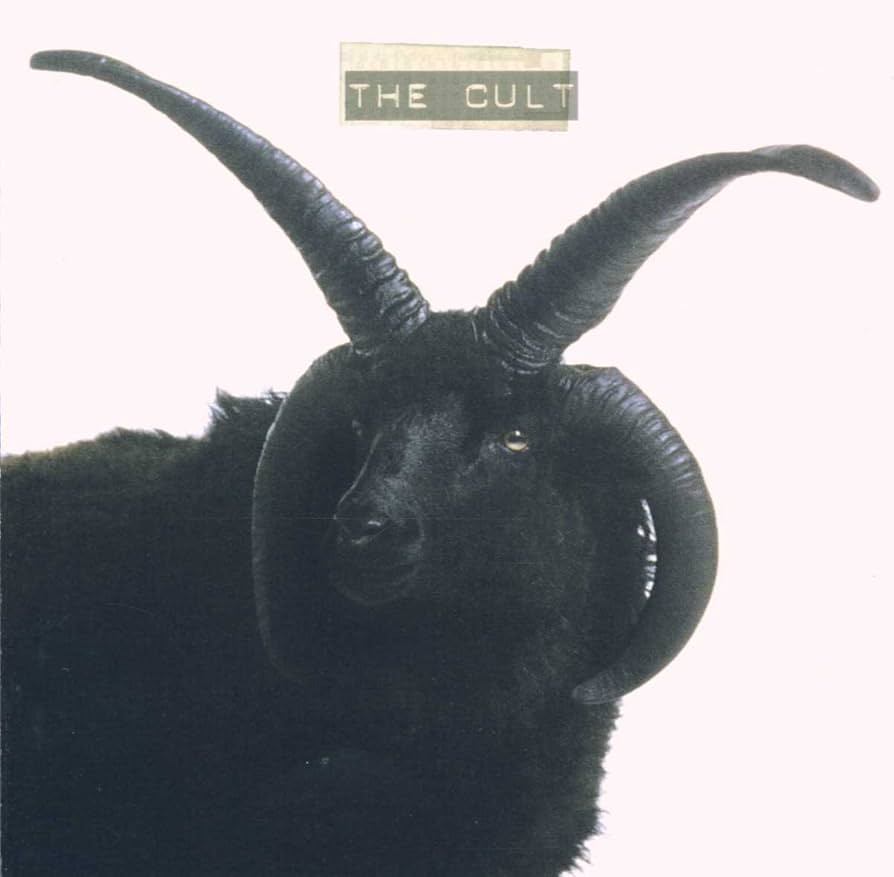 THE CULT CD 10枚セット Amazon.co.jp: Cult: ミュージック
